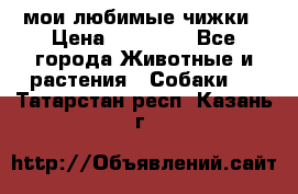 мои любимые чижки › Цена ­ 15 000 - Все города Животные и растения » Собаки   . Татарстан респ.,Казань г.